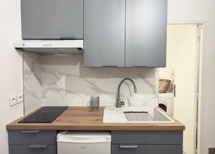 Le Cocon Du Roi Jerome - Hypercentre דירה אז'אקסיו